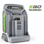 CH5500E Rapid Charger
